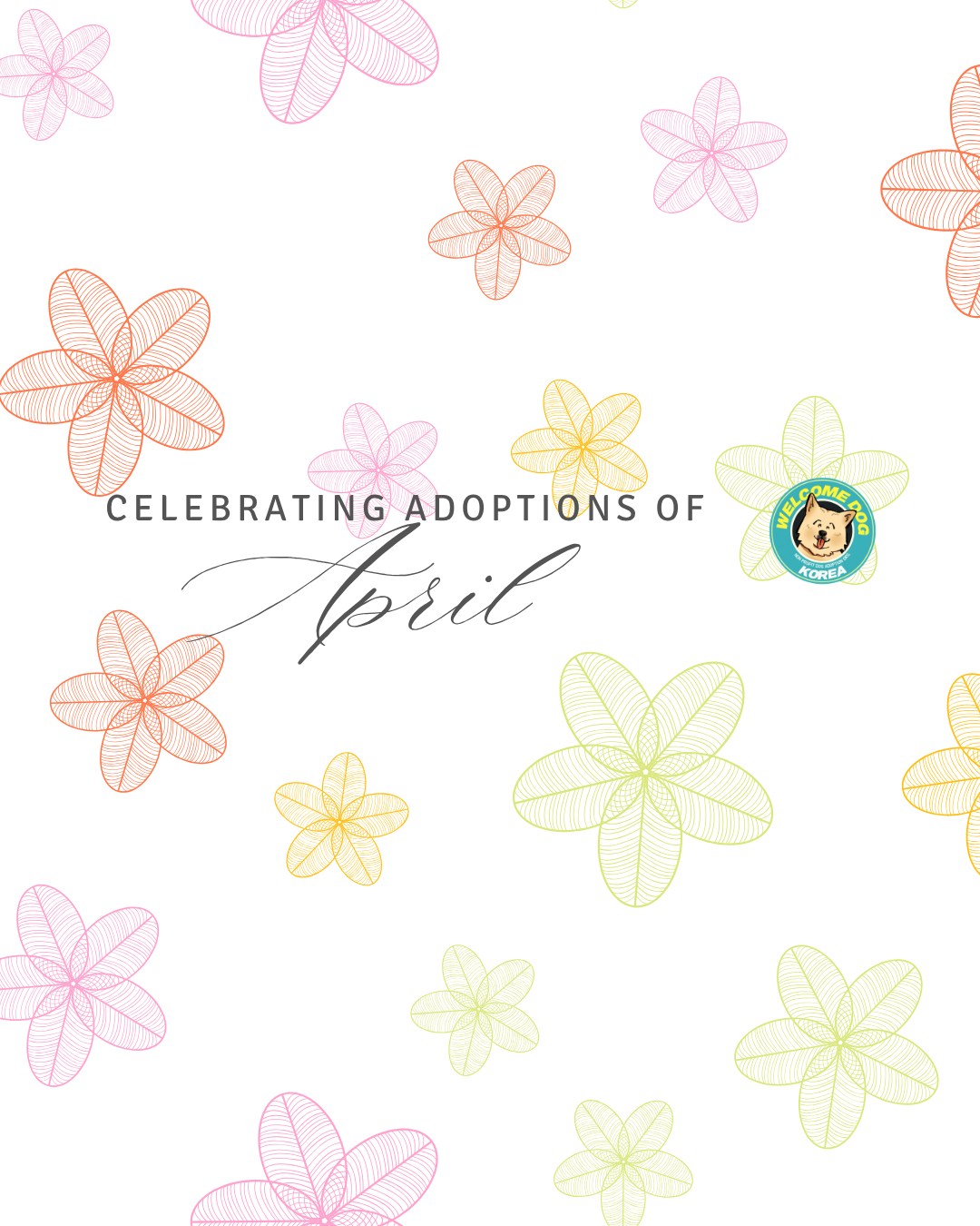 Our April Happy Tails 🌸