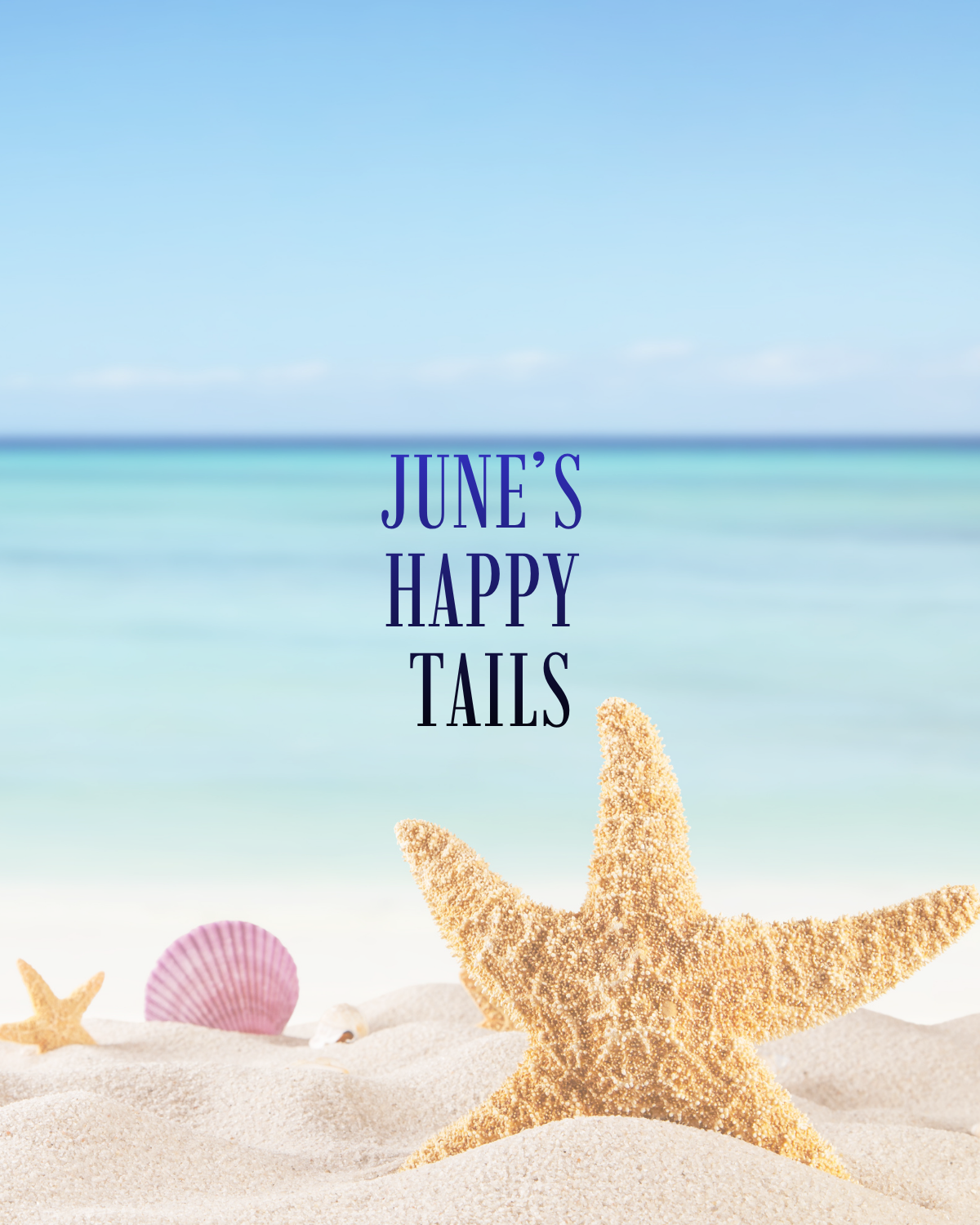 Our June Happy Tails ☀️