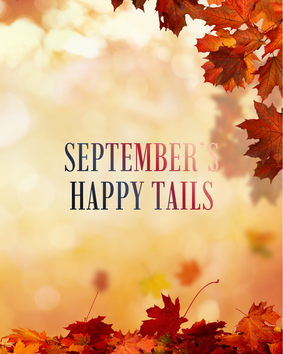Our September Happy Tails 🍂