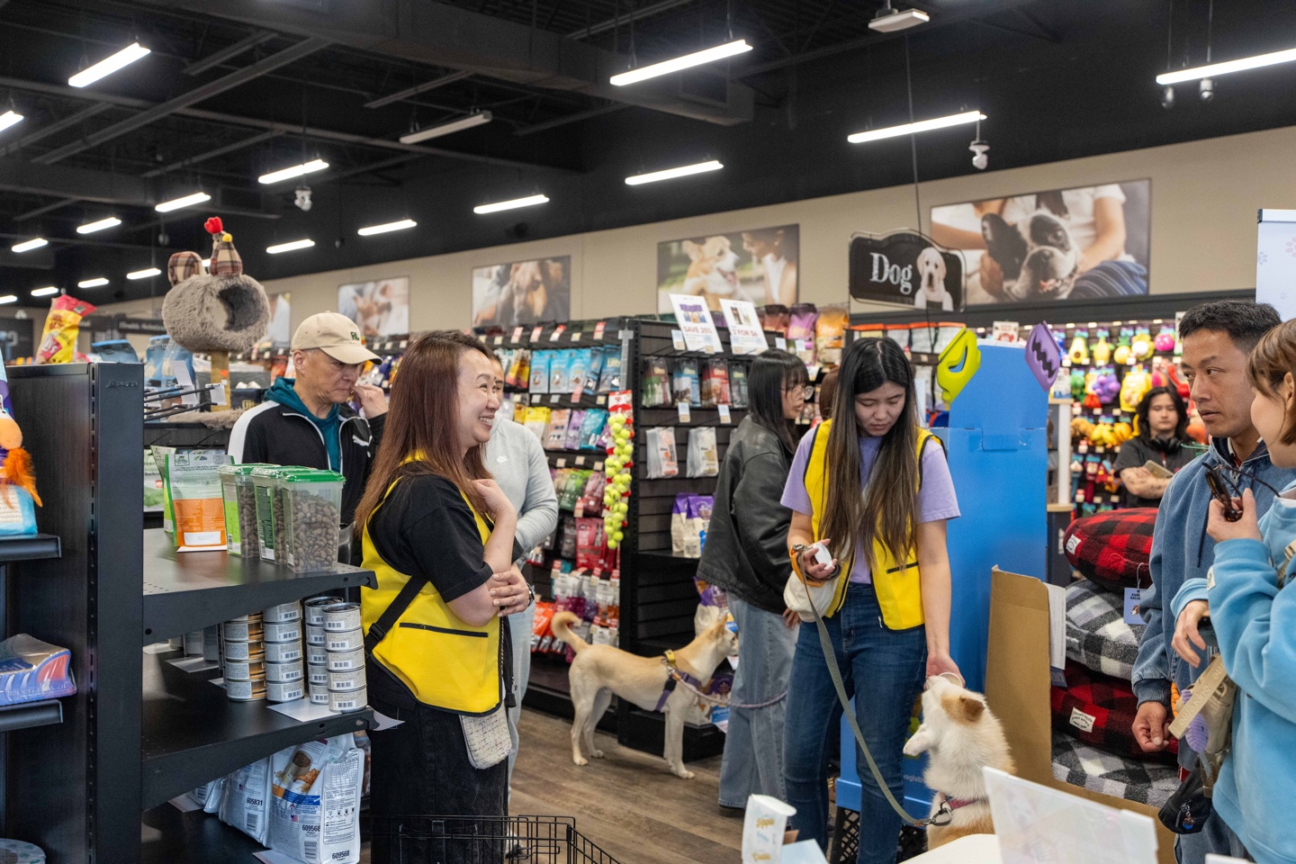 Sunshine, Smiles & Second Chances: A Heartwarming Day at Pet Valu Richmond Hill