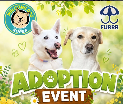 A Pawsome Afternoon at FURRR: Morning & Hey Steal Hearts