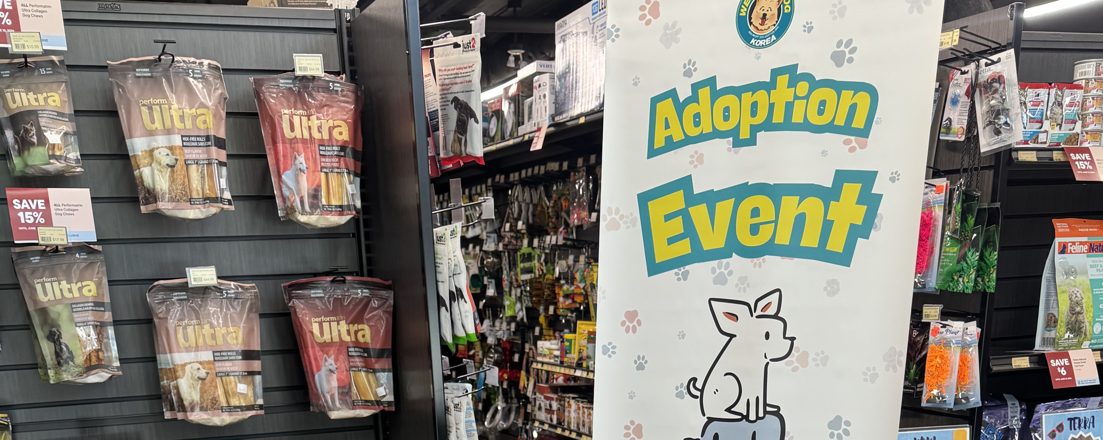 A Day Filled with Love: Pori, Muffin & Iko Shine at Bosley's Esplanade