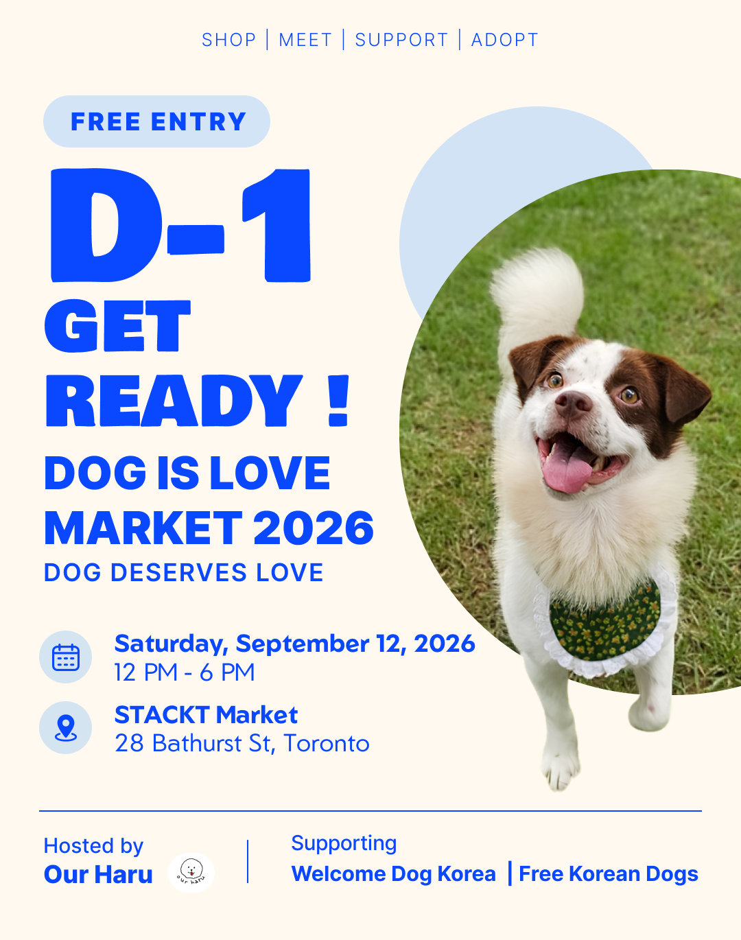 🐾 D-1 UNTIL DOG IS LOVE MARKET 2026! 🐾