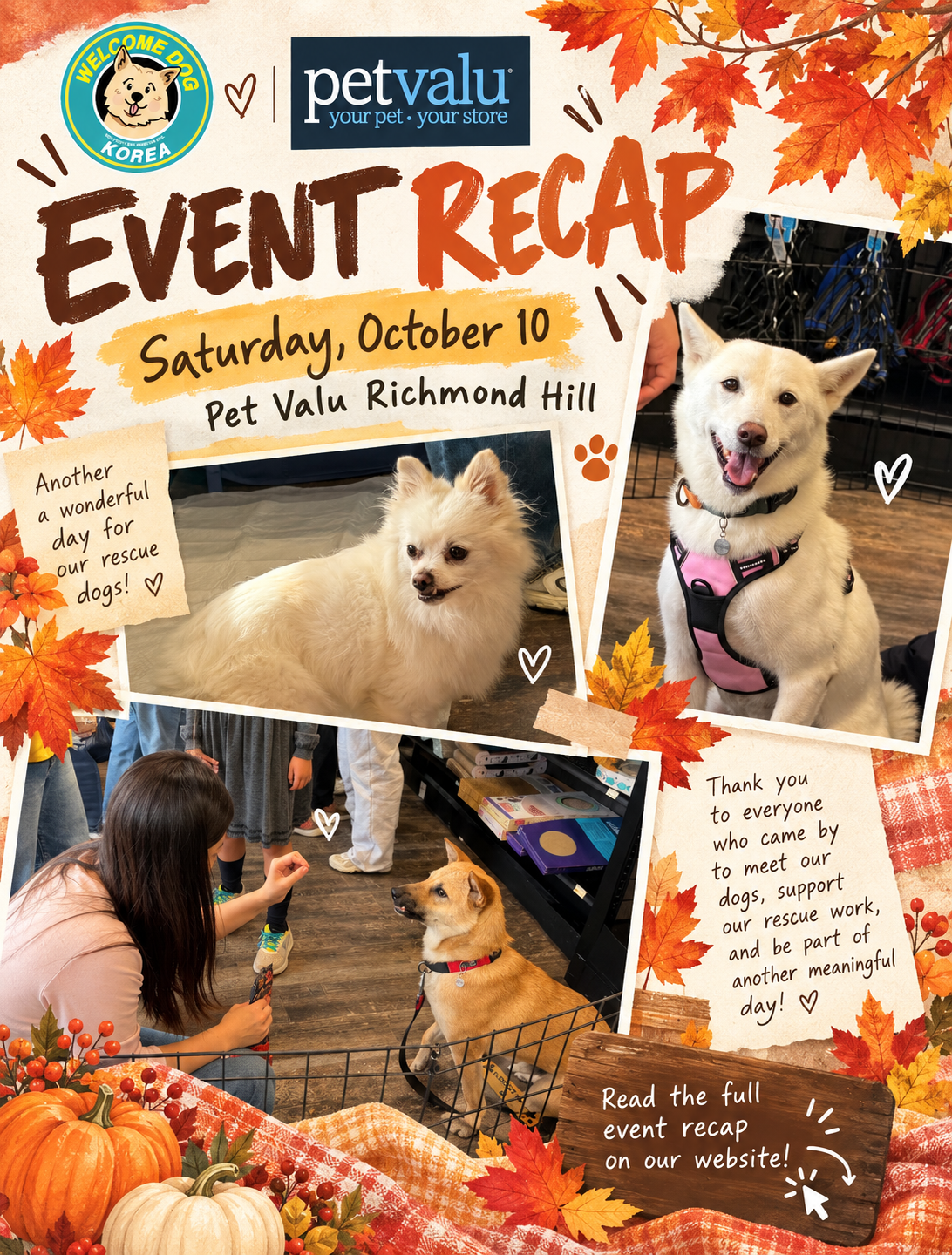 Falling for Rescue Dogs: An Autumn Afternoon at Pet Valu Richmond Hill